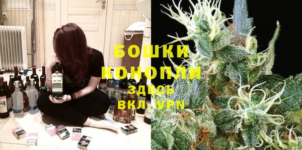 ALPHA PVP Дмитров