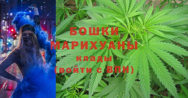 дурь Елабуга