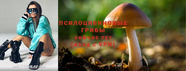ALPHA PVP Дмитров