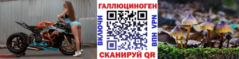 Купить закладки Искитим Галлюциногенные грибы мицелий